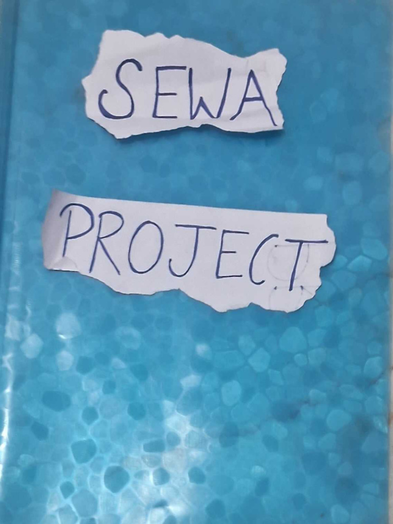 Sewa Project of Class 8th | PDF