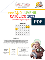 Cronograma de Actividades VJC 2023