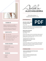 Currículum Vitae CV Diseñadora y Arquitecta Minimalista Rosa