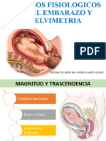 Hmccambios Fisiologicos en El Embarazo