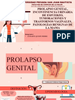 prolapso