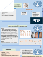 Repaso Fisico Torax y Abdomen