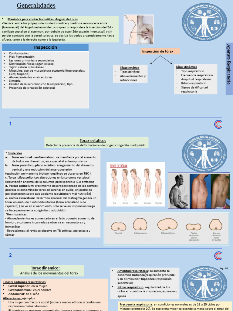 Inspección y Palpación del Tórax | PDF | Medicina CLINICA ...