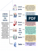 Cuadro Sinóptico Etapa Productiva