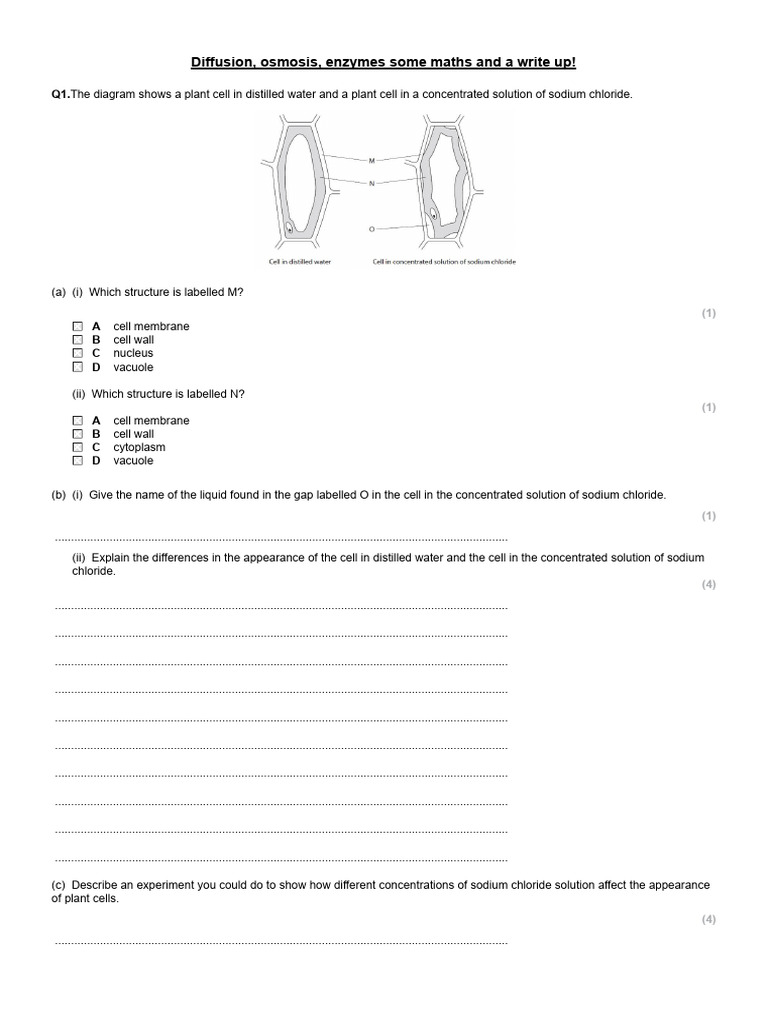 Diffusion Osmosis Enzymes Maths and Write Up Exam Questions PDF