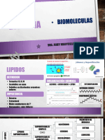 Biologia Clase 2 Biomoleculas