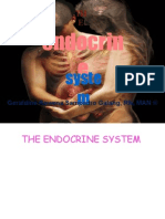 Endocrin E: Syste M