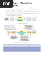 Sadlier Vocabulary Unit 8 Answers | PDF