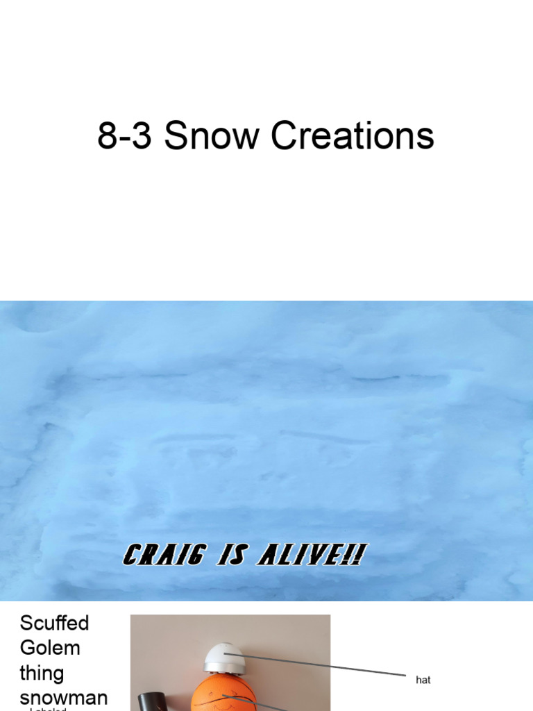 Snow Creations and Characters Showcase | PDF