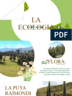 La Ecologia en Huaraz