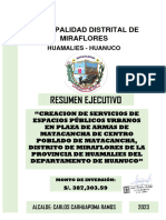 Resumen Ejecutivo - Plaza