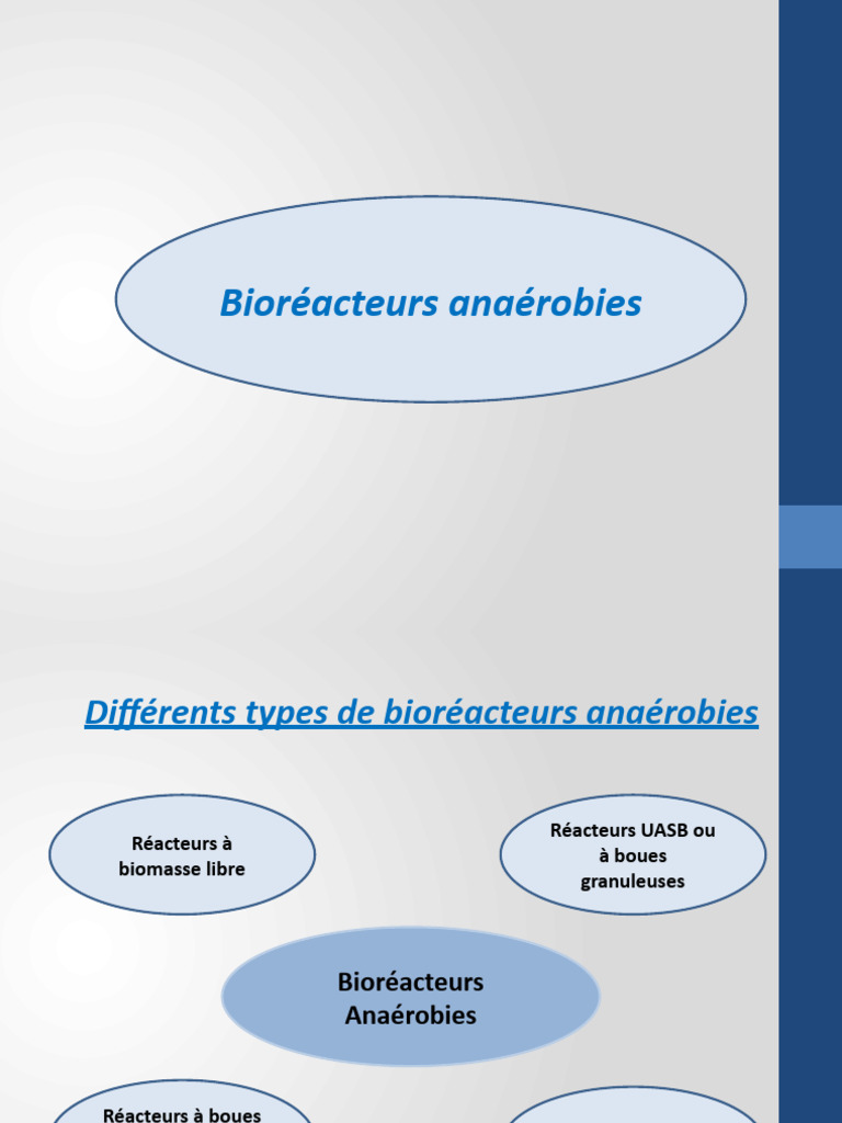 types-de-bior-acteurs-ana-robies-pdf-gaz-g-nie-chimique