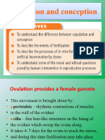 Reproduction in Human 2