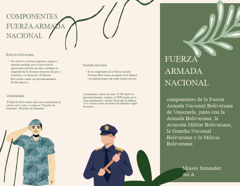 Estructura de la Fuerza Armada Nacional | PDF | Militar | Relaciones ...