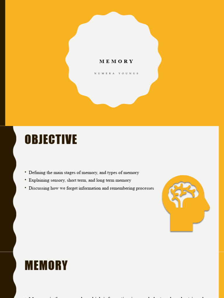 MEMORY 20112023 123228pm | PDF | Memory | Long Term Memory