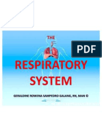 The Respiratory System