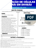 Observação de Celulas Vegetais em Divisão