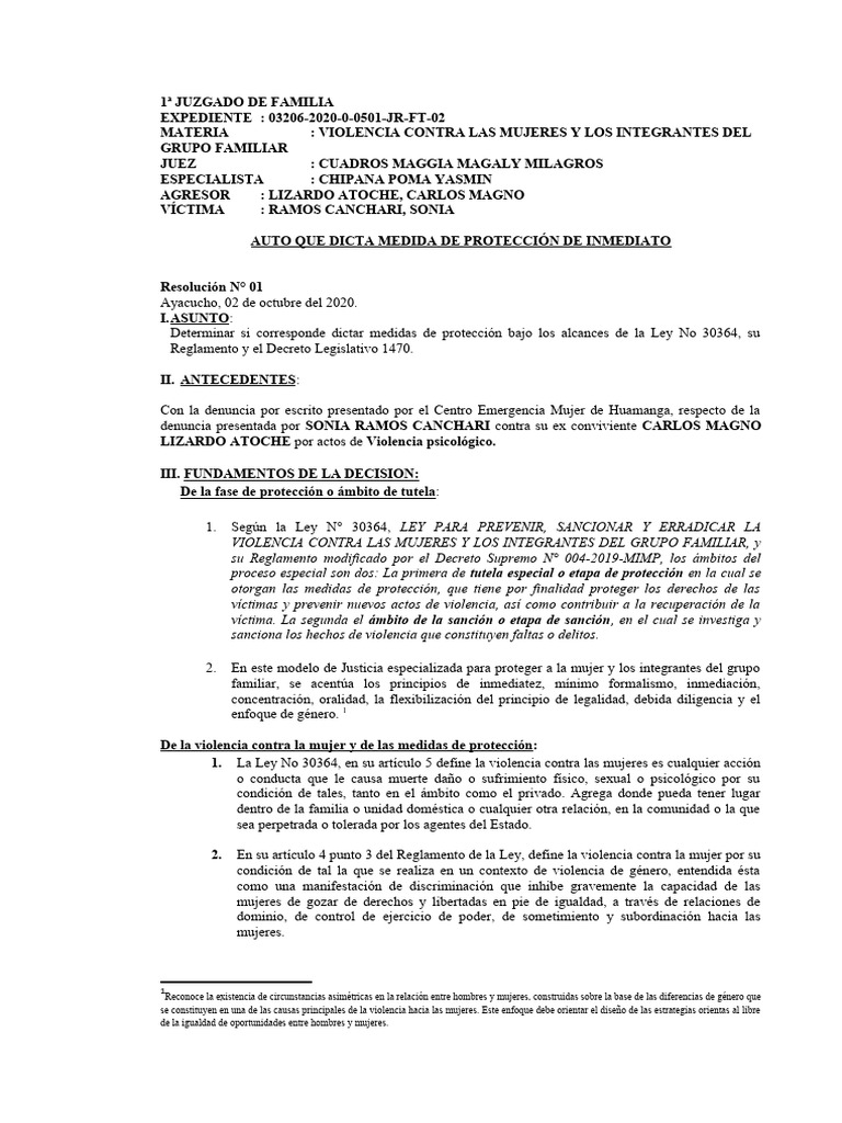 Medida de proteccion pdf la violencia contra las mujeres violencia