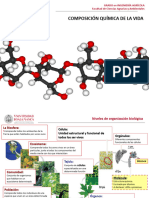 1.3. - Composición Química de Los Seres Vivos