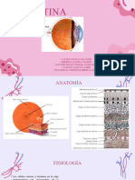 RETINA (Autoguardado)