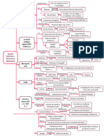 Mapa Historia Obstetricia