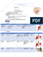 Anatomie Myologie