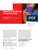 2018 Top 5 Tips For Sedation & Anesthesia in Fractious Dogs