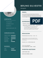 Ejemplo Curriculum Vitae