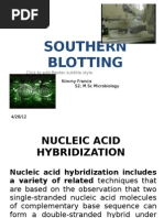 Southern Blotting