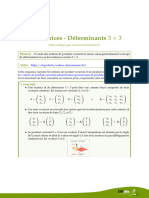 Matrices 8 Determinants 3x3
