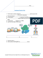 Bell Ringer 12.3 Protein Synthesis Video