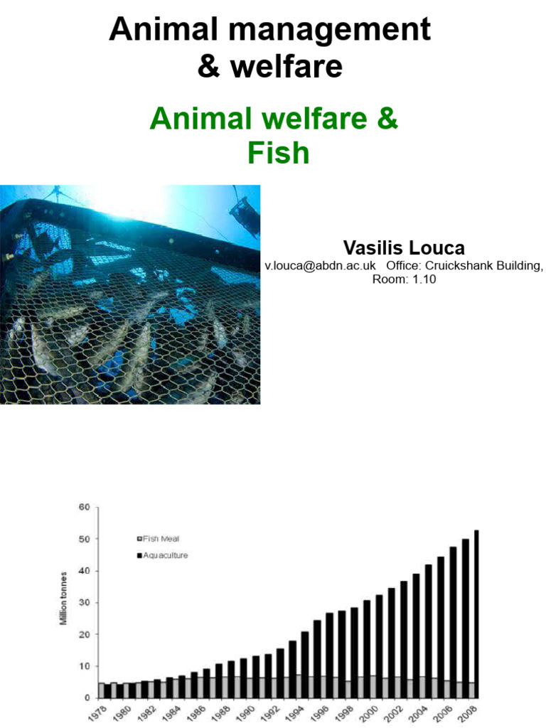 Fish Welfare and Pain Perception Issues | PDF | Animal Welfare ...