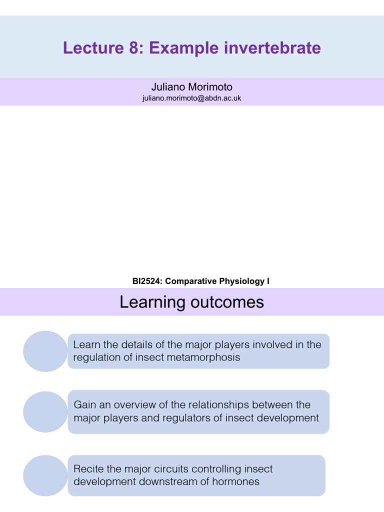 Lecture8-Example InsectDevelopment | PDF | Physiology | Zoology