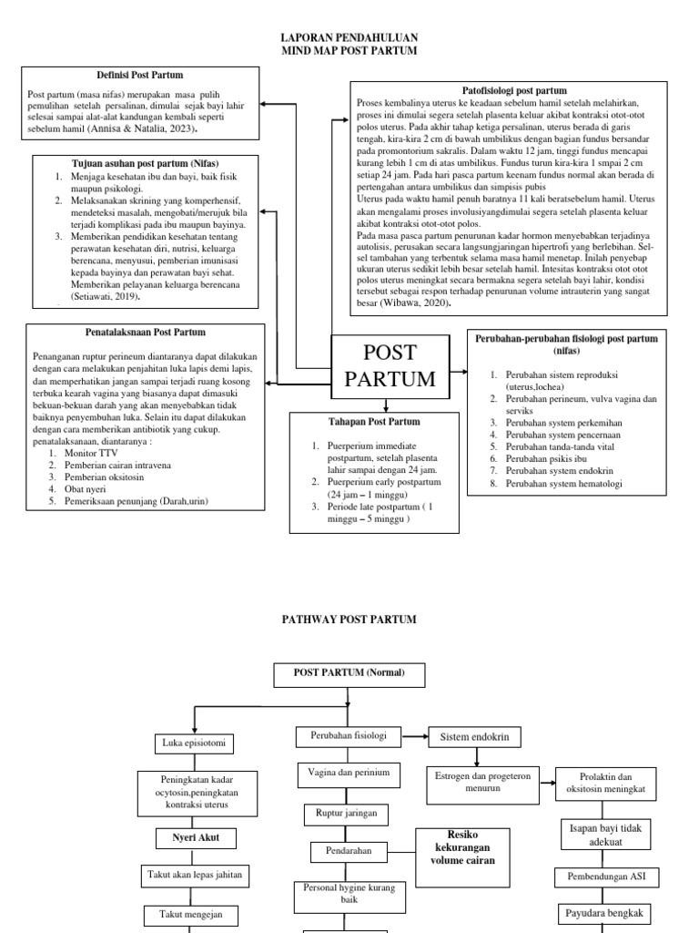 Panduan Asuhan Post Partum | PDF