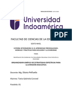 Tania Coronel Organizador Gráfico de Estrategias Específicas para La Atención Educativa Tarea 2.1corrección