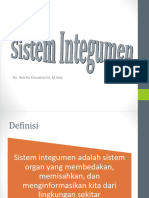 Sistem Integumen