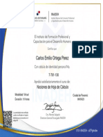 Certificado Hoja de Calculo