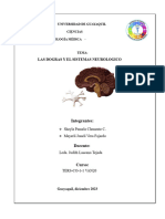 Las Dogras y El Sistemas Neurologico