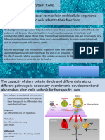 2.3 Introduction To Stem Cells