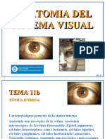 Tema 11b Nervi Optic