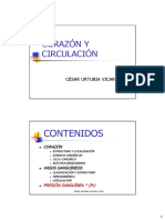 T5 CorazónYCirculación