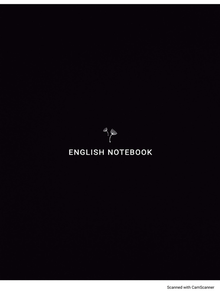 N MERO IN ENGLISH intelligence overview