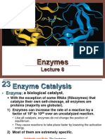 Lecture 7.1-Enzymes