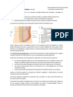 Hernias Abdominales