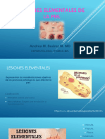 LESIONES ELEMENTALES Dermatologia