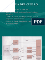 4 Trauma Del Cuello