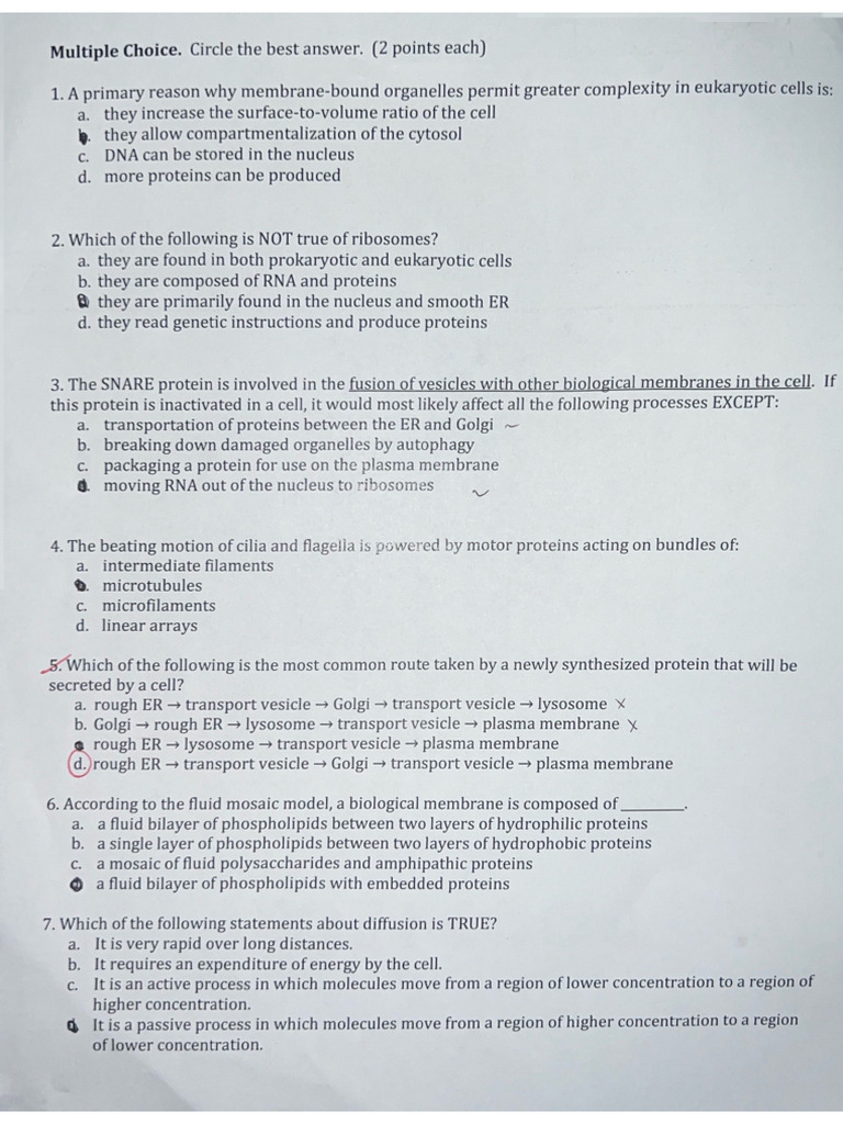 Exam 2 | PDF