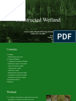 Construcrted Wetlands-R. Ahmed 