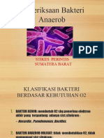 Pemeriksaan Bakteri Anaerob