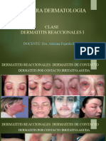 Clase Dermatitis Reaccionales I